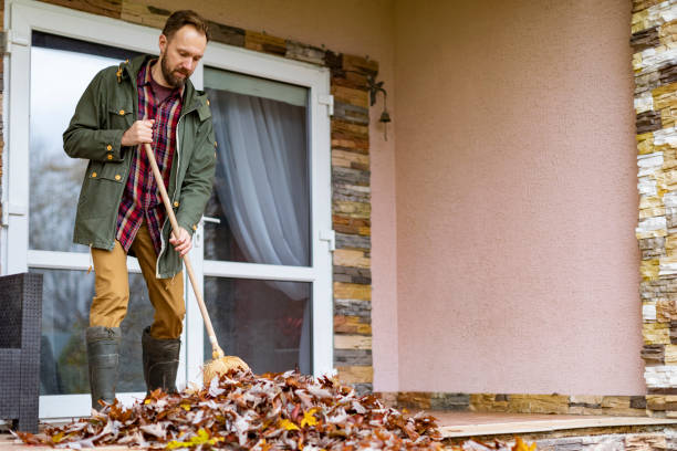 Best Basement Cleanout Services  in Forest Hill, TX