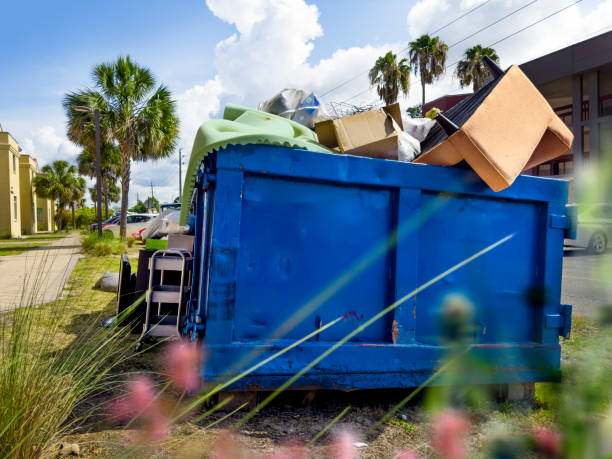 Attic Cleanout Services in Forest Hill, TX